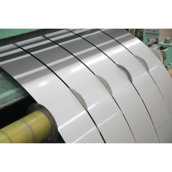 Hot Sale ASTM Ss Steel Coil 201 304 316/316L 410 409 430 Stainless Steel Strip