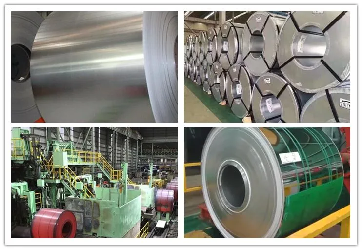 Wholesale Stainless with The 304 304L 316 Stainless Steel /Gi Galvalume/Galvanized Coil Supplier Steel Strip